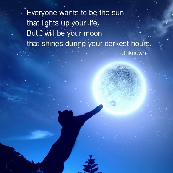 I Love My Cat To The Moon & Back Mixed Metal Artisan Etsy Charm Necklace NEW - Picture 6 of 6